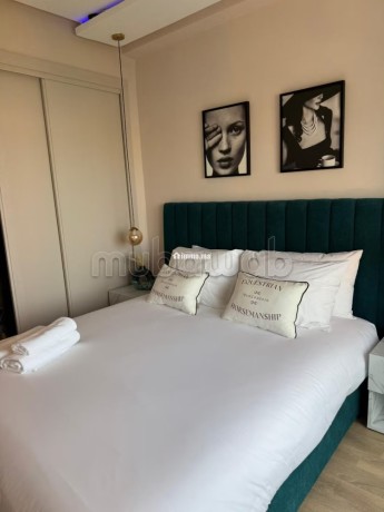 tres-bel-appartement-en-location-a-bourgogne-ouest-superficie-163-m2-bien-meuble-big-10