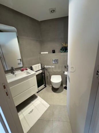 tres-bel-appartement-en-location-a-bourgogne-ouest-superficie-163-m2-bien-meuble-big-11