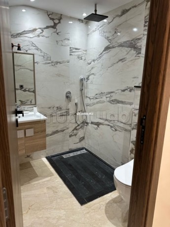 location-appartement-moderne-neuf-a-lhemitage-big-2
