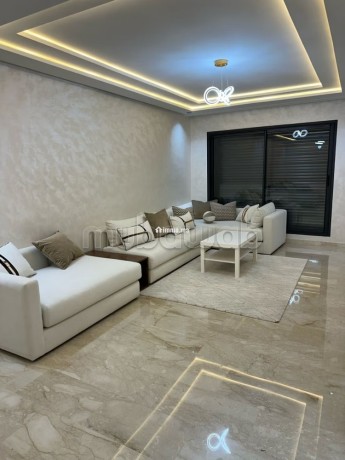 location-appartement-moderne-neuf-a-lhemitage-big-3
