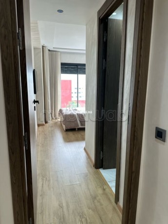 location-appartement-moderne-neuf-a-lhemitage-big-6