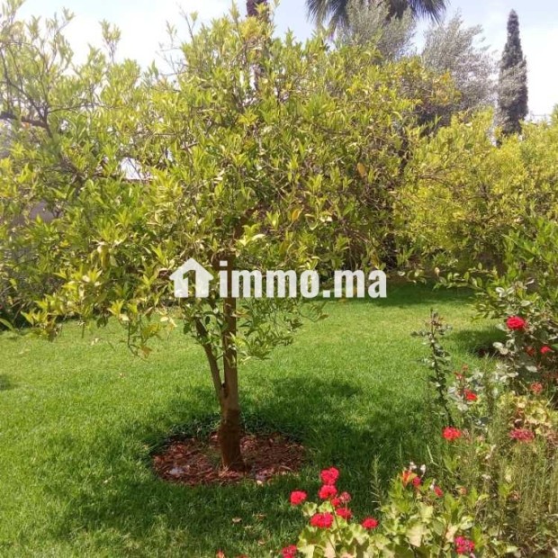 Belle villa à vendre à route de l'ourika marrakech - Vente Immobilier - Marrakech - photo 8