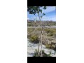 terrain-titre-a-la-vente-a-tanja-balia-r3-surface-totale-110-m2-small-3
