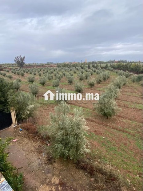 Location villa de luxe à Sidi Moussa. Surface totale 134 m². Bien meublé - Location Immobilier - Autre - photo 6