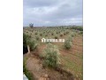Location villa de luxe à Sidi Moussa. Surface totale 134 m². Bien meublé - miniature 6