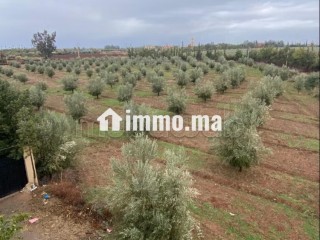 Location villa de luxe à Sidi Moussa. Surface totale 134 m². Bien meublé - Villa à louer - Autre