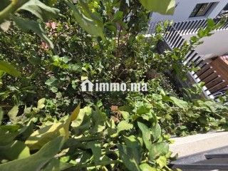 Villa àvendre 330m² hay riad - Villa à vendre - Rabat