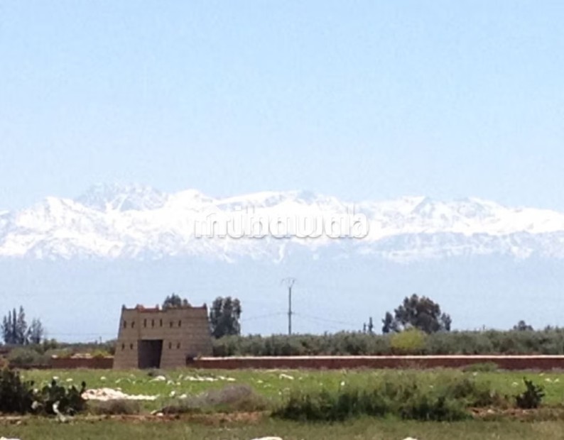 Ferme 3,57 H, km 24, route de Fes, Marrakech - Vente Immobilier - Marrakech - photo 1