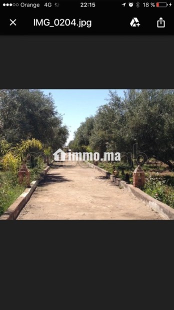 Ferme 3,57 H, km 24, route de Fes, Marrakech - Vente Immobilier - Marrakech - photo 2