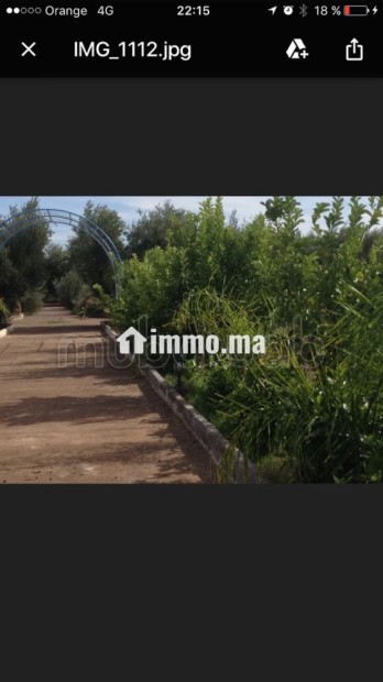 Ferme 3,57 H, km 24, route de Fes, Marrakech - Vente Immobilier - Marrakech - photo 4