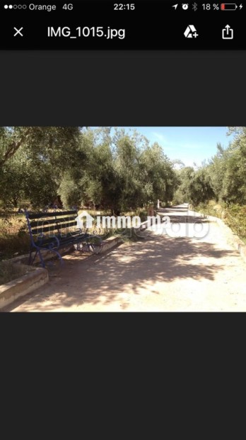 Ferme 3,57 H, km 24, route de Fes, Marrakech - Vente Immobilier - Marrakech - photo 5