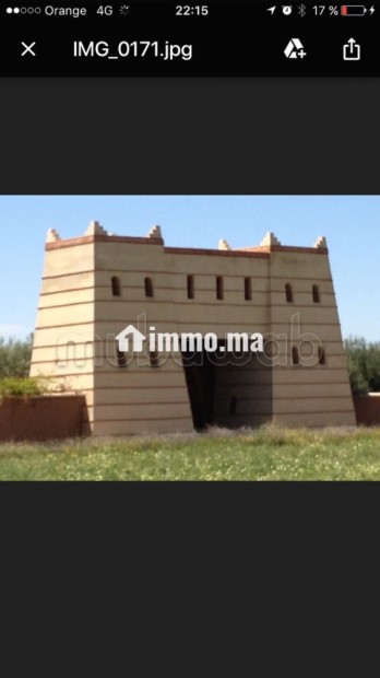 Ferme 3,57 H, km 24, route de Fes, Marrakech - Vente Immobilier - Marrakech - photo 6