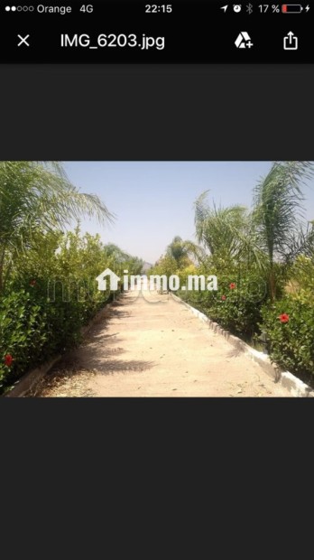Ferme 3,57 H, km 24, route de Fes, Marrakech - Vente Immobilier - Marrakech - photo 7