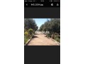 Ferme 3,57 H, km 24, route de Fes, Marrakech - miniature 2