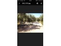 Ferme 3,57 H, km 24, route de Fes, Marrakech - miniature 5