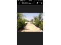 Ferme 3,57 H, km 24, route de Fes, Marrakech - miniature 7