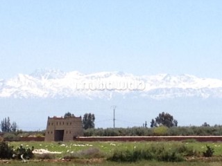 Ferme 3,57 H, km 24, route de Fes, Marrakech - Terrain à vendre - Marrakech