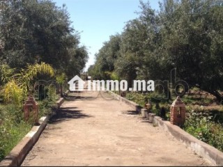 Ferme 3,57 H, km 24, route de Fes, Marrakech - Terrain à vendre - Marrakech