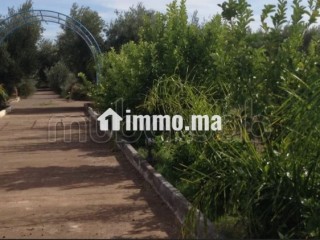 Ferme 3,57 H, km 24, route de Fes, Marrakech - Terrain à vendre - Marrakech