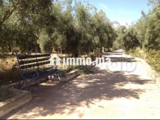 Ferme 3,57 H, km 24, route de Fes, Marrakech - Terrain à vendre - Marrakech