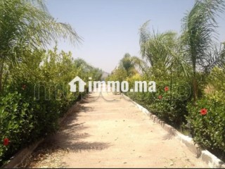 Ferme 3,57 H, km 24, route de Fes, Marrakech - Terrain à vendre - Marrakech