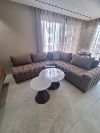 superbe-appartement-a-louer-a-les-princesses-2-pieces-confortables-bien-meuble-big-0
