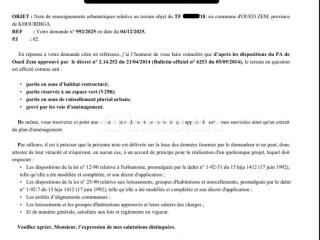 Terrain Lotissement a vendre titre foncier bon affaire - Terrain à vendre - Oued Zem