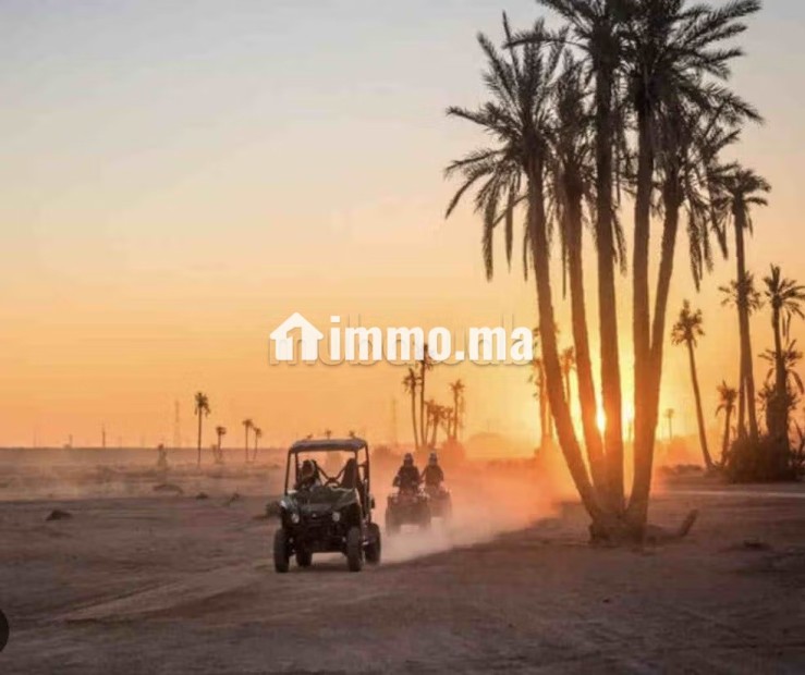 Terrain 4 hectare titre - Vente Immobilier - Marrakech - photo 1