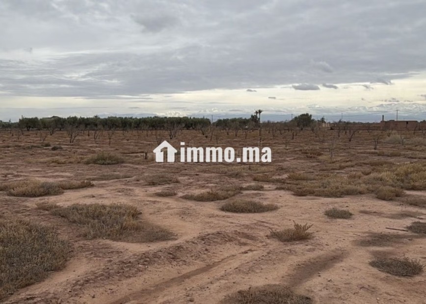 Terrain exceptionnel de 2 hectares, Vue Atlas - Vente Immobilier - Marrakech - photo 3