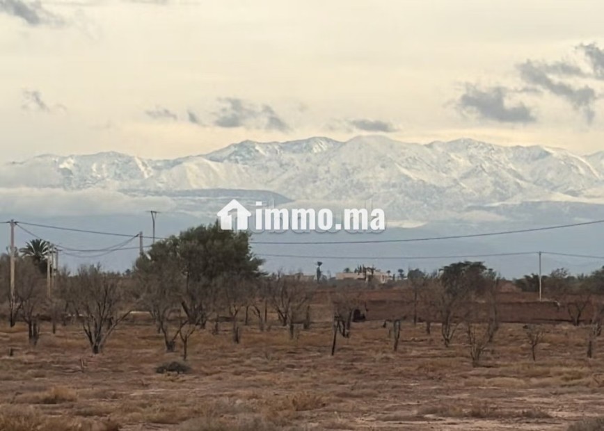Terrain exceptionnel de 2 hectares, Vue Atlas - Vente Immobilier - Marrakech - photo 5