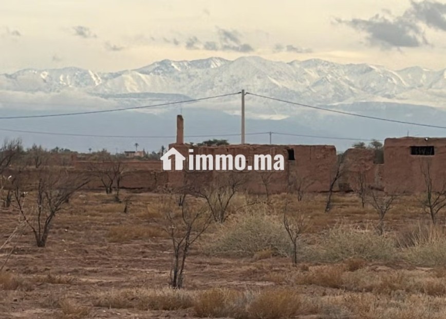 Terrain exceptionnel de 2 hectares, Vue Atlas - Vente Immobilier - Marrakech - photo 6