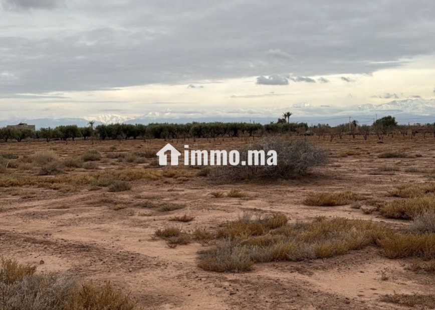 Terrain exceptionnel de 2 hectares, Vue Atlas - Vente Immobilier - Marrakech - photo 7