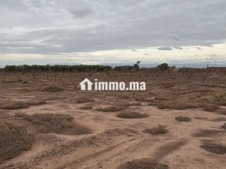 Terrain exceptionnel de 2 hectares, Vue Atlas - Terrain à vendre - Marrakech
