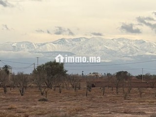 Terrain exceptionnel de 2 hectares, Vue Atlas - Terrain à vendre - Marrakech