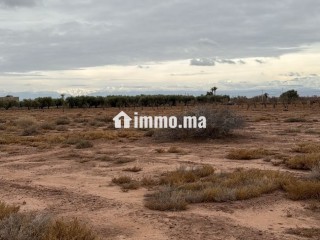Terrain exceptionnel de 2 hectares, Vue Atlas - Terrain à vendre - Marrakech
