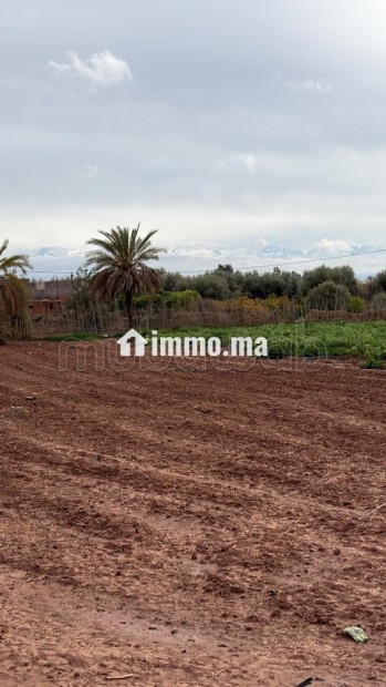 Terrain bien situé, de 22 000 m2, fort potentiel - Vente Immobilier - Marrakech - photo 1