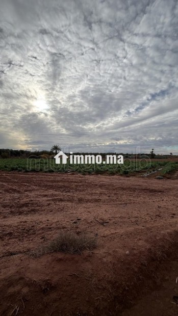 Terrain bien situé, de 22 000 m2, fort potentiel - Vente Immobilier - Marrakech - photo 2