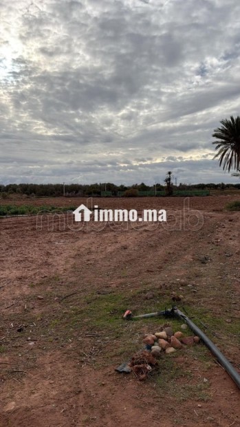 Terrain bien situé, de 22 000 m2, fort potentiel - Vente Immobilier - Marrakech - photo 3