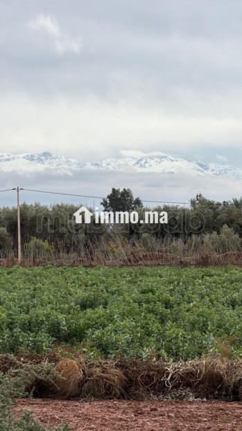 Terrain bien situé, de 22 000 m2, fort potentiel - Vente Immobilier - Marrakech - photo 5