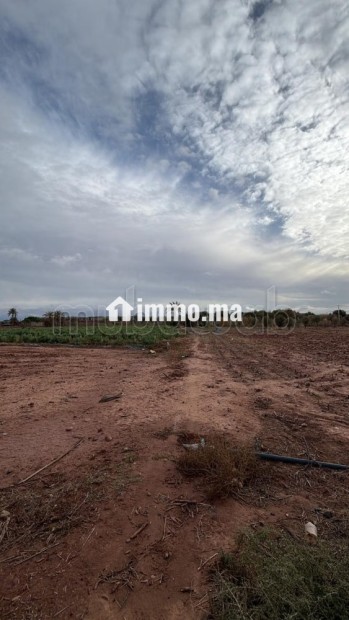 Terrain bien situé, de 22 000 m2, fort potentiel - Vente Immobilier - Marrakech - photo 6