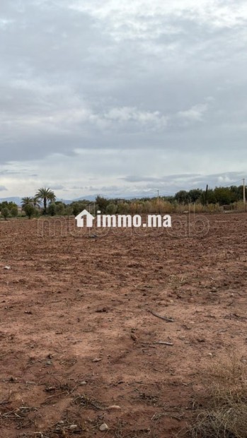 Terrain bien situé, de 22 000 m2, fort potentiel - Vente Immobilier - Marrakech - photo 7