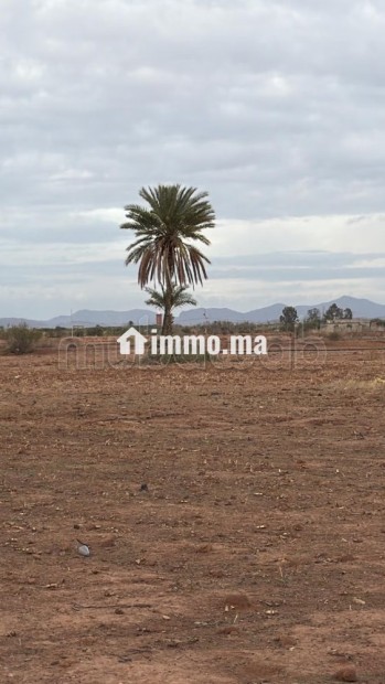 Terrain bien situé, de 22 000 m2, fort potentiel - Vente Immobilier - Marrakech - photo 8