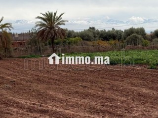 Terrain bien situé, de 22 000 m2, fort potentiel - Terrain à vendre - Marrakech