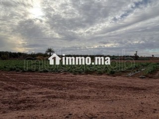 Terrain bien situé, de 22 000 m2, fort potentiel - Terrain à vendre - Marrakech
