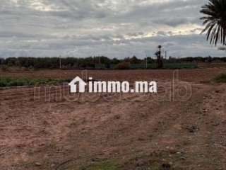 Terrain bien situé, de 22 000 m2, fort potentiel - Terrain à vendre - Marrakech