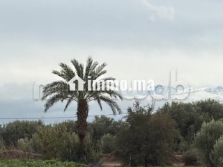 Terrain bien situé, de 22 000 m2, fort potentiel - Terrain à vendre - Marrakech