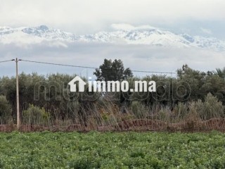 Terrain bien situé, de 22 000 m2, fort potentiel - Terrain à vendre - Marrakech