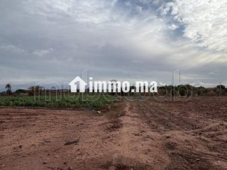 Terrain bien situé, de 22 000 m2, fort potentiel - Terrain à vendre - Marrakech