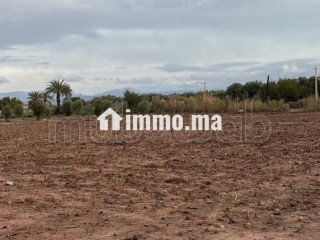 Terrain bien situé, de 22 000 m2, fort potentiel - Terrain à vendre - Marrakech