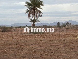 Terrain bien situé, de 22 000 m2, fort potentiel - Terrain à vendre - Marrakech